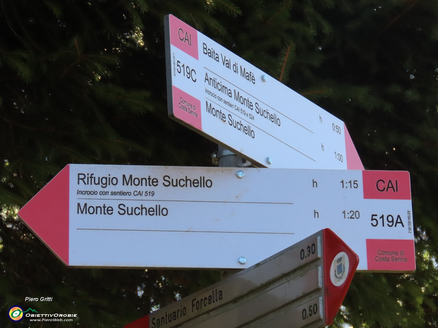 22 Seguiamo il sent. 519A.JPG